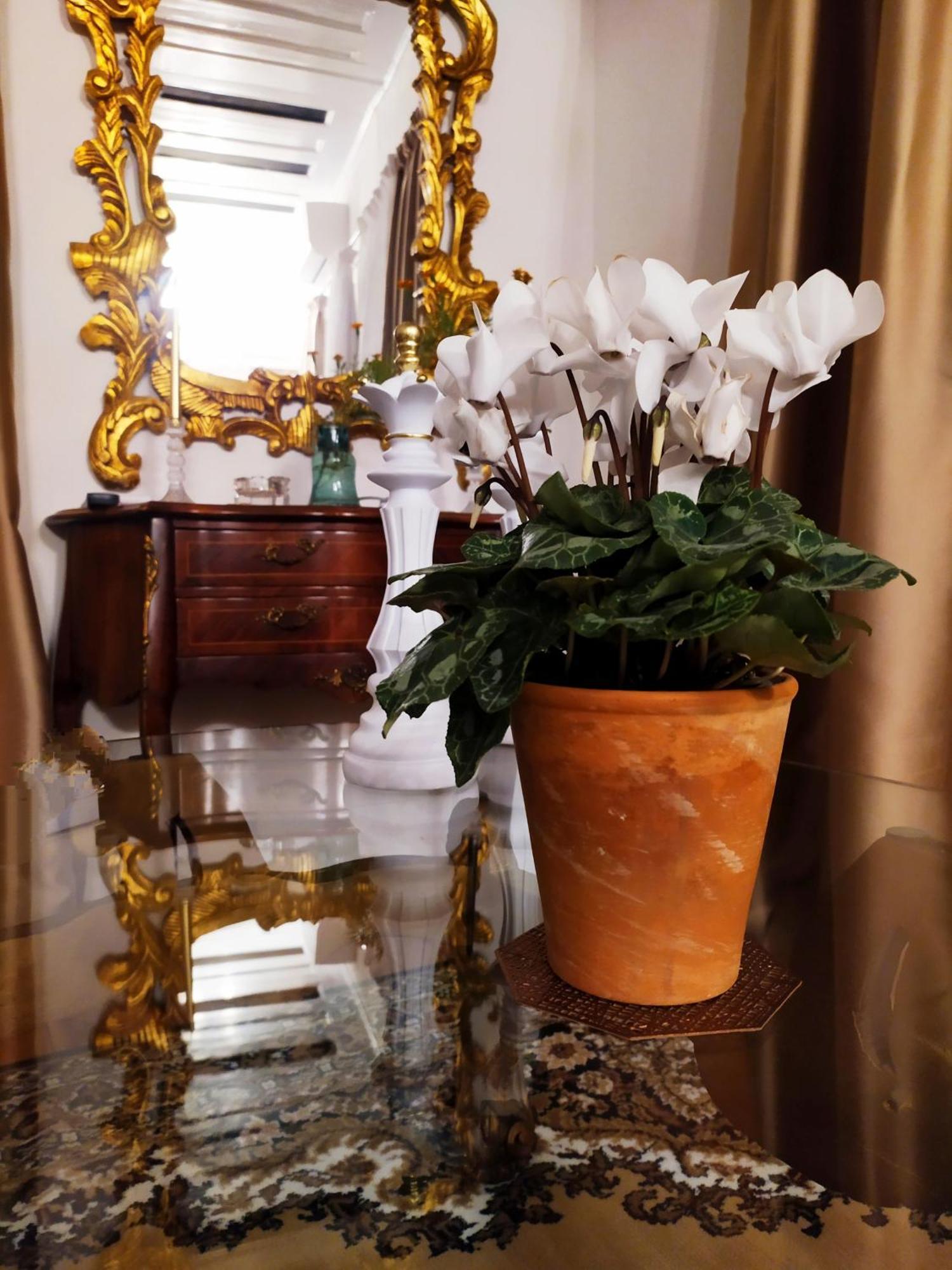 Dom wakacyjny διώροφο πέτρινο σπίτι με θέα Classic Stone House *